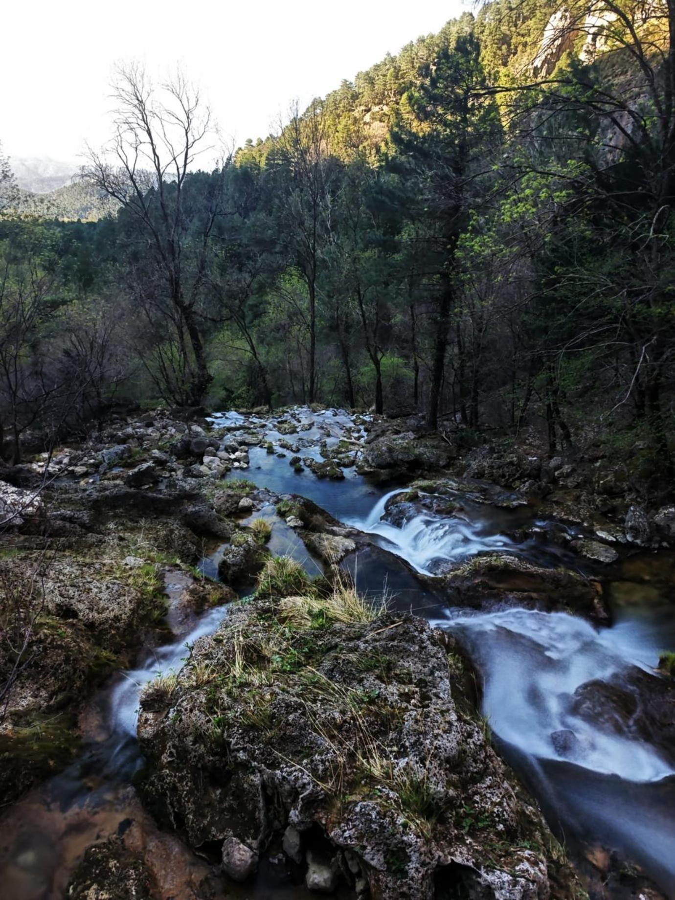 Casa Rural La Piedra Del Cambron Villaverde De Guadalimar Exteriör bild